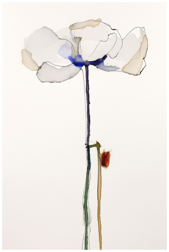 'Tranquil Overture' (Fine Art Print on Canson Arches Aquarelle Water Color Paper)