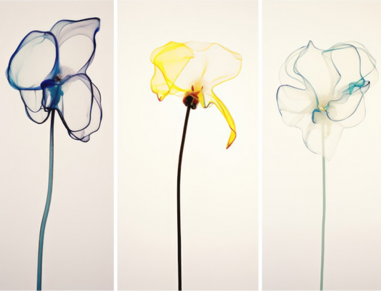 'Subtle Dance of Ethereal Blooms' printed on Aluminium