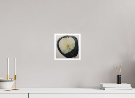Lily with Yellow and Red Stem Fine Art Print