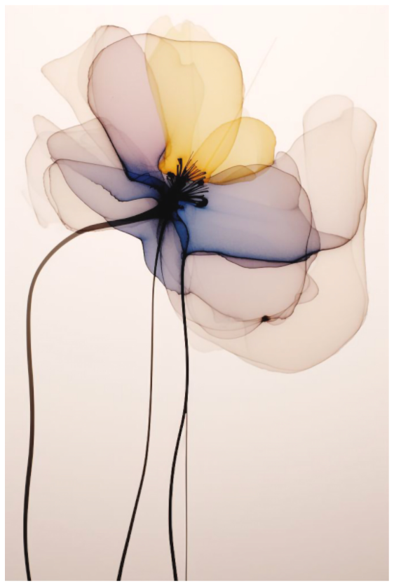 'Tender Waltz of the Blossom' Fine Art Print on Hahnemühle Paper