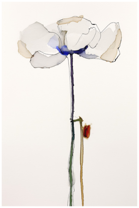 'Tranquil Overture' (Fine Art Print on Canson Arches Aquarelle Water Color Paper)