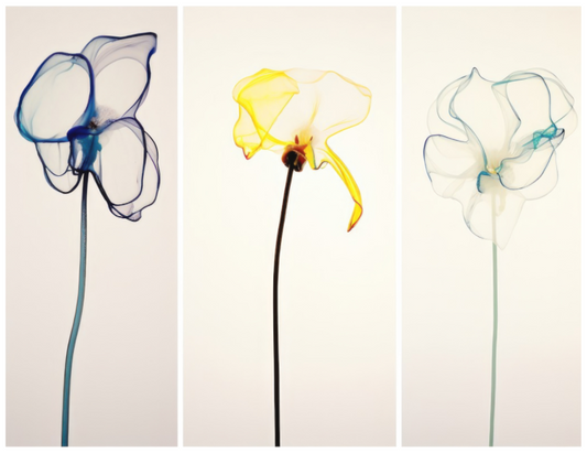 'Subtle Dance of Ethereal Blooms' Fine Art Print