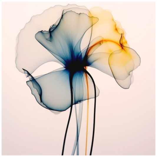'Dreams of Floral Light' Fine Art Print