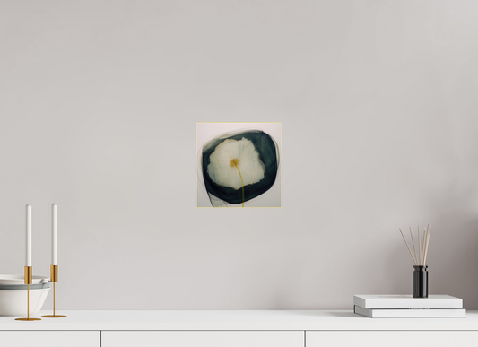 Lily with Yellow and Red Center behind plexiglass